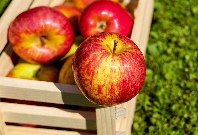 Metody zapobiegania nadmiernemu dojrzewaniu jabłek w chłodni: Zachowanie Świeżości i Opóźnienie Procesu Dojrzewania